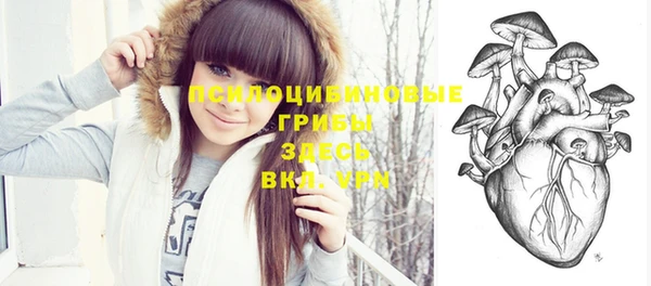 прущий лед Краснослободск
