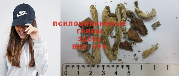 стаф Кулебаки